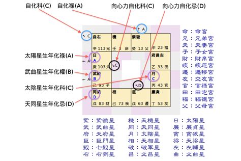 紫微斗數十二宮|紫微命盤十二宮詳解